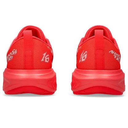 SpeedTri 16 PS